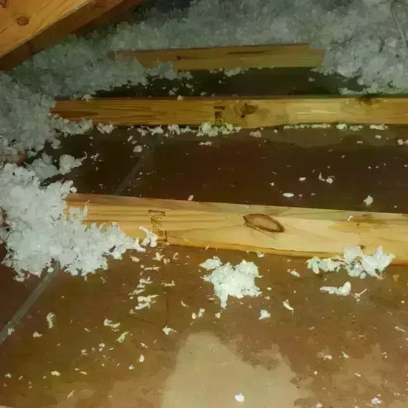 Attic Water Damage in Blacksburg, VA